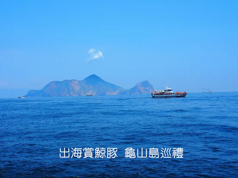 宜蘭烏石港一日遊 出海賞鯨豚 龜山島巡禮 到漁港就是要吃海鮮