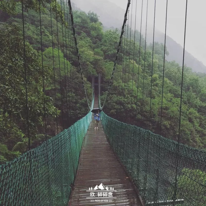 【瓦拉米步道】花蓮南安，沒看見臺灣黑熊倒是瞧見猴群，即使下著小雨依舊美麗