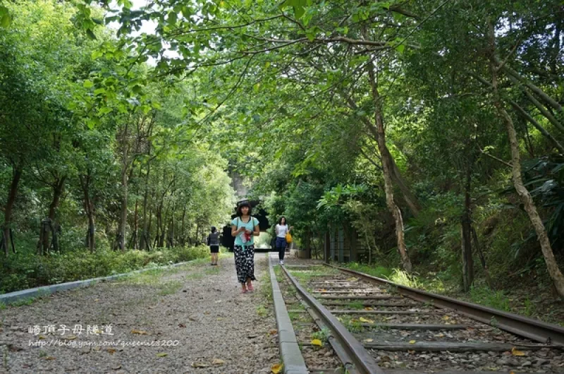 【竹南】崎頂子母隧道。生態豐富巧遇眼鏡蛇