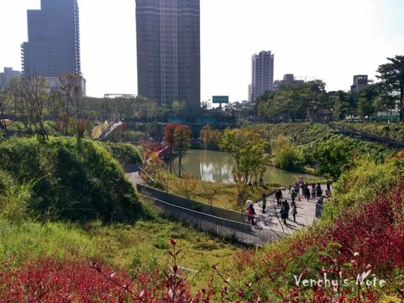 【快閃系列】臺中 秋紅谷公園之 啊~有熊