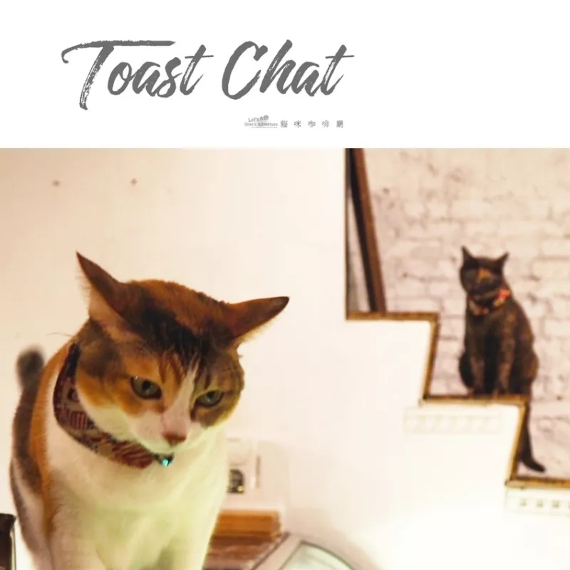 【臺北】捷運國父紀念館站 - Toast Chat 肥貓咪餐廳/美味早午餐