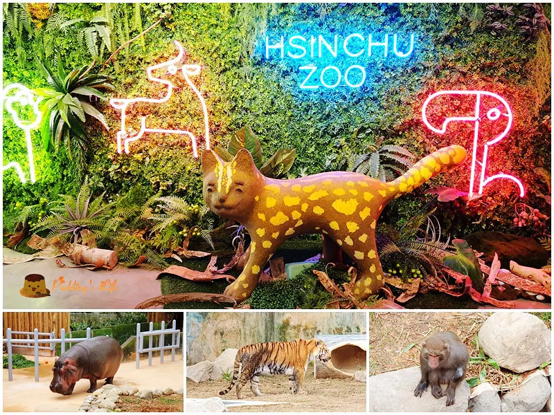 新竹親子景點│新竹市立動物園》全臺最古老動物園重新開幕嘍