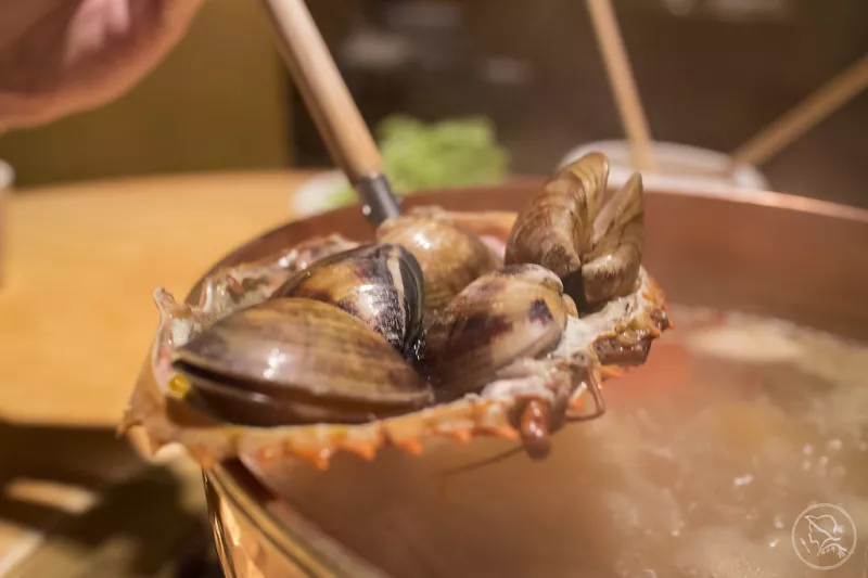 鍋物·食話食說｜橘色涮涮鍋，頂級夢幻精品火鍋，一吃必上癮/忠孝復興/東區美食/臺北火鍋/有包廂