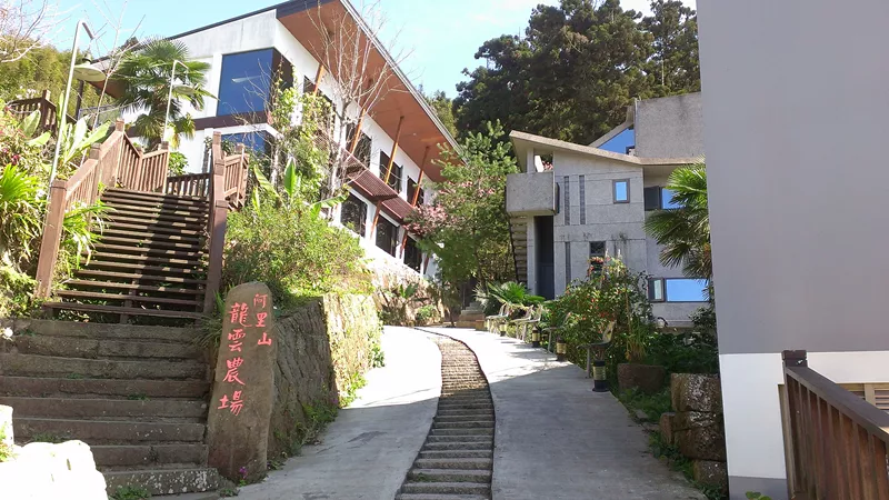 阿里山好住處~龍雲休閒農場