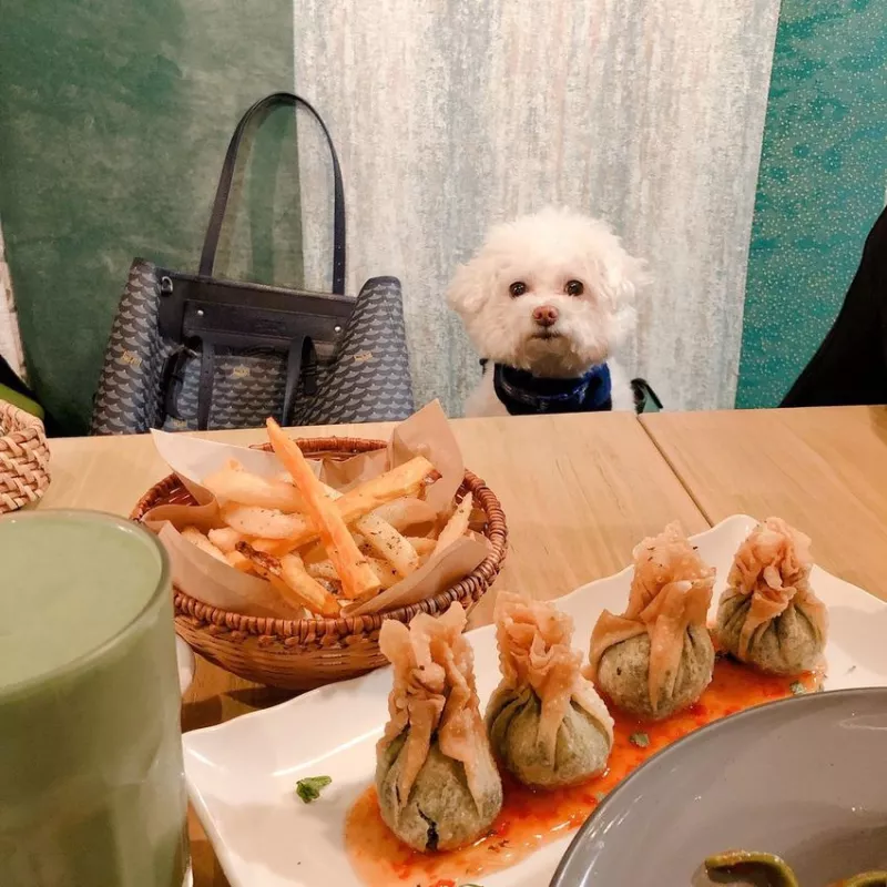 臺北素食｜東區素食 Herban Kitchen & Bar二本餐廳 純素聚餐推薦