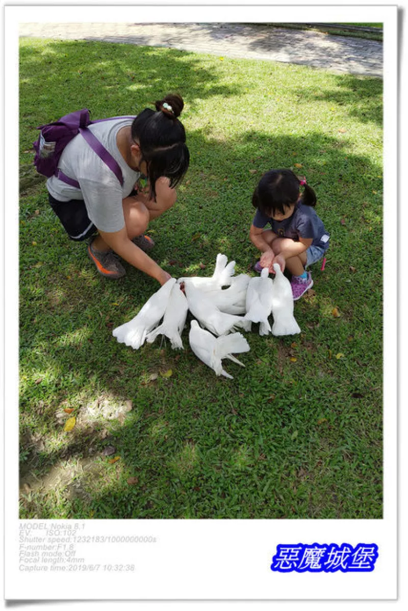 【嘉義一日遊】獨角仙休閒農場，草皮、沙坑、彩繪、餵小動物+西拉雅中埔遊客中心，童趣可愛城堡+金桔觀光工廠，好玩網繩溜滑梯 !