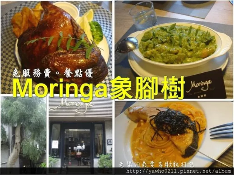 [新竹]象腳樹Moringa|以樹為名，簡單清新的質感餐廳。霸氣的鮭魚麵、烤全雞。不用再花大錢也可以吃好料!@老饕的最愛喜歡就打包