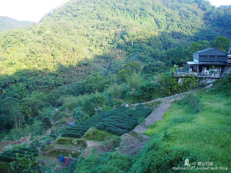 臺(tái)北貓空│壼穴溪床秘密景點(diǎn)最短吊橋限載三人 茶香環(huán)狀步道之壼穴平臺(tái)、小天空步道