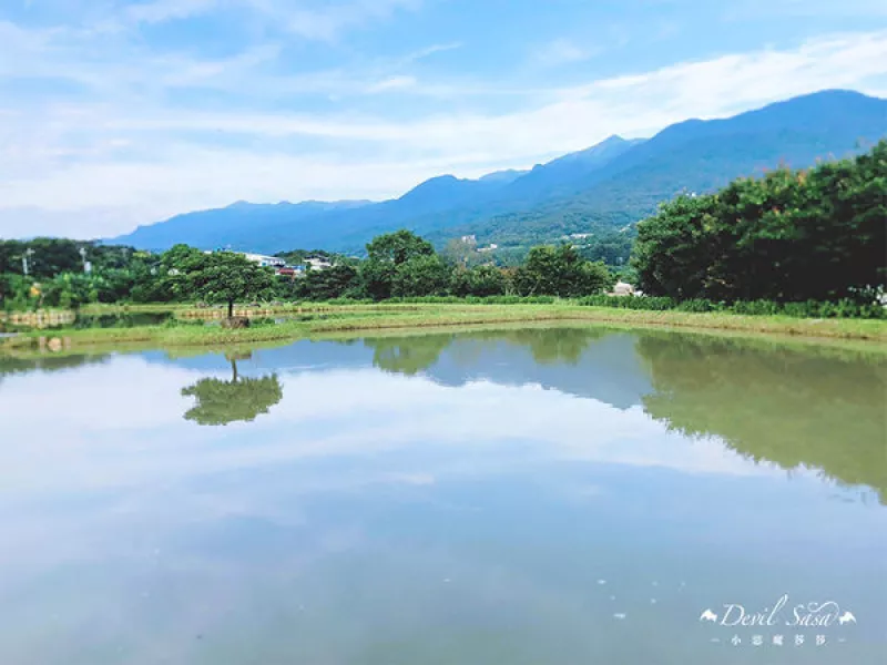 【新北旅遊景點推薦】三芝田心子?夢幻秘境／水天一色／拍照打卡美景（淡水水中央）