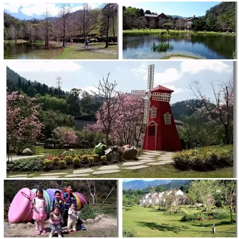 隱身中部的美景~南莊雲水度假森林CLOUDLAND RESORT