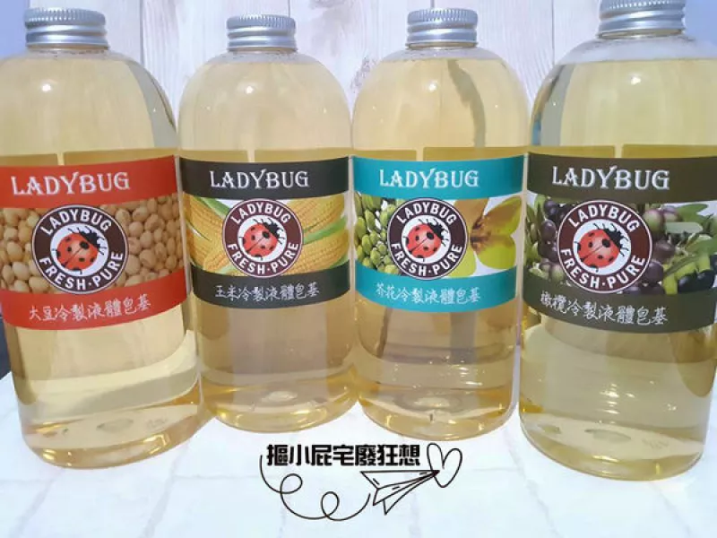 【開箱】用LADYBUG液體皂基３步驟完成，專屬天然無毒的DIY環保清潔液！（邀稿）