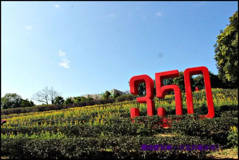 【桃園。龍潭】大北坑戀纞魯冰花季!/龍潭魯冰花/