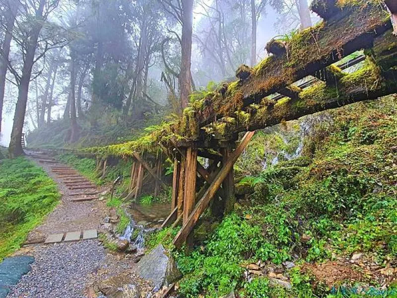 【宜蘭】太平山森林遊樂區：完整景點介紹，見晴古道、翠峰湖一日暢遊！