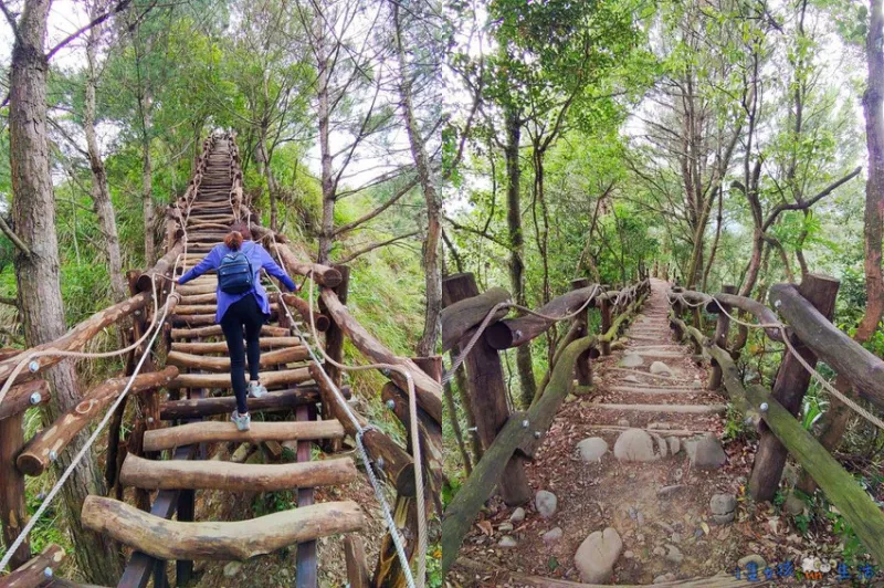 [臺中大坑]網美步道!大坑四號步道，圓木步道賞陵線，新手初次挑戰走到腿軟!