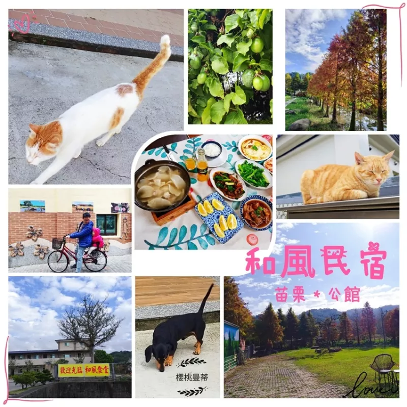 ▋苗栗公館住宿 ▋【和風民宿&和風食堂】*苗栗輕旅行* 落羽松民宿，親子共遊，品嚐道地客家菜、如回童年阿嬤家般親切。