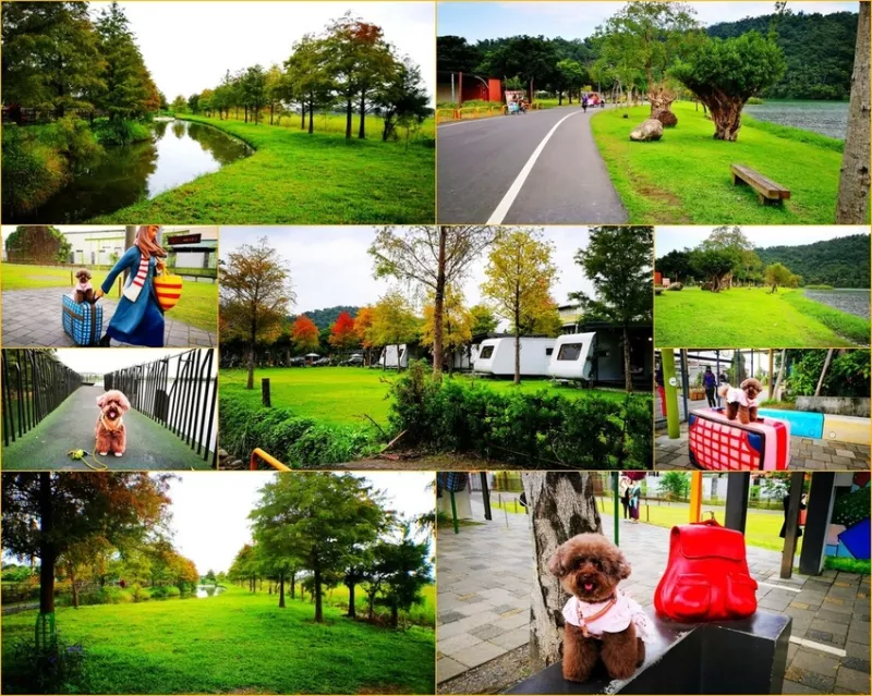 Ω寵物也可這樣玩Ω宜蘭一日遊~游家農場+幾米公園+梅花湖★小精靈胡扯蛋★2018.11.29