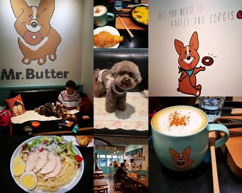 ※寵物友善餐廳※板橋 琳瑯滿目的甜點+可愛柯基 奶油先生 Mr.Butter Cafe★小精靈胡扯蛋★2018.11.7