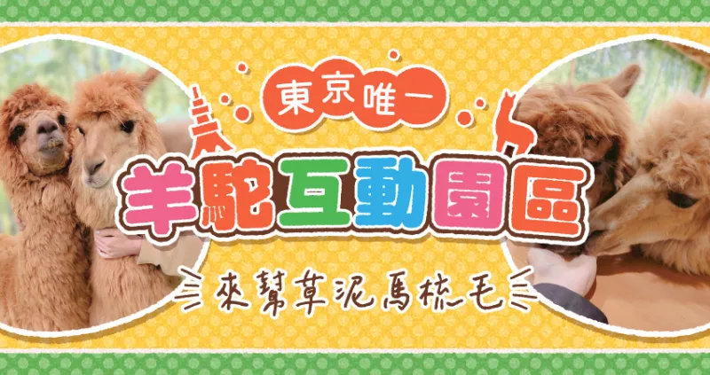 草泥馬竟然出沒在東京市區，4 月新開幕的超可愛的「羊駝互動園地」來療癒你的心。同場加映！還有迷你豬咖啡廳喔。