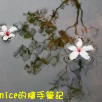 Bernice的隨手筆記