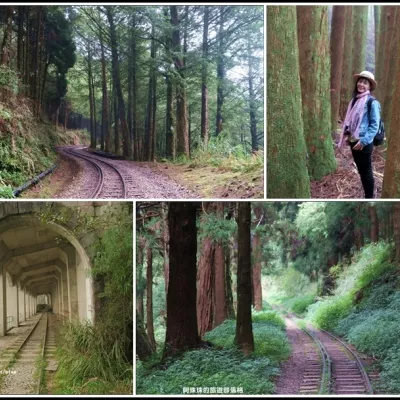 謎樣般的阿里山眠月線鐵道