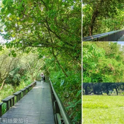 臺北景點》綠色秘境 最美自然公園 關渡自然公園 豐富的野生動植物自然生態 水鳥觀賞區 - 艾莉絲愛旅行