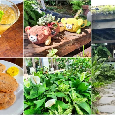 【里港景點】薰之園香草休閒農場 玫瑰脆梅 幸福限定滋味 香草魔法下午茶 免費參觀