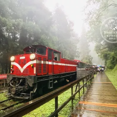 阿里山森林遊樂區｜美好的消暑盛地，二訪火車站及神木遺跡，找尋過往的童年記憶 @ 魚兒 x 牽手明太子的「視」界旅行