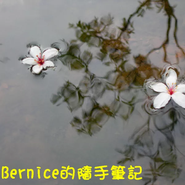 Bernice的隨手筆記