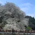 觀霧山莊 照片