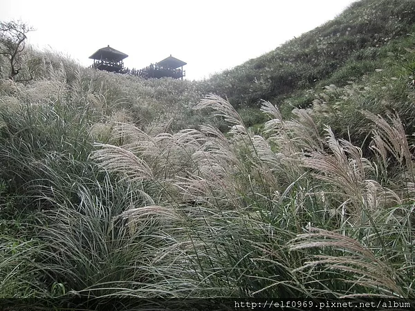 草嶺古道