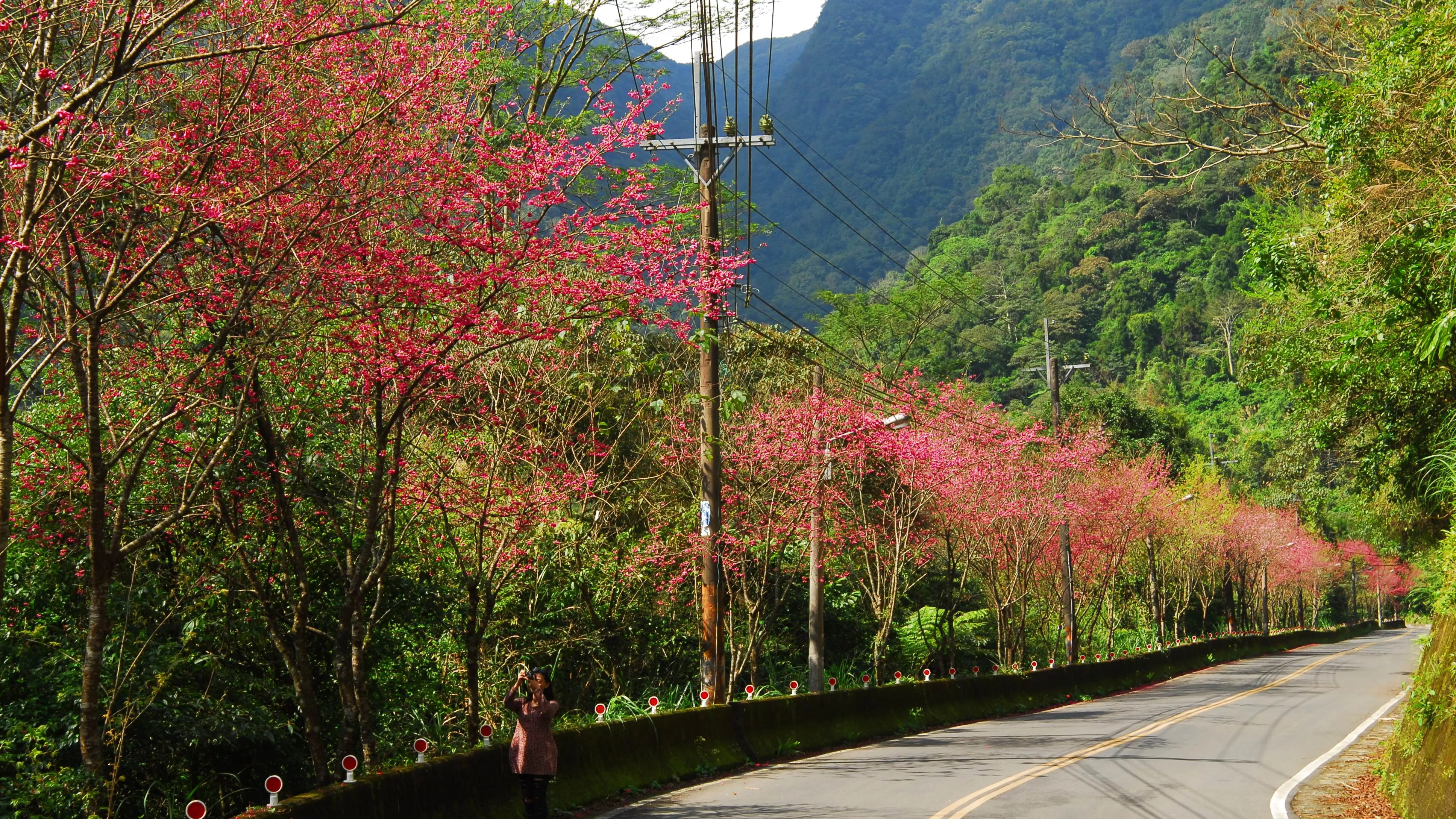 西羅岸步道